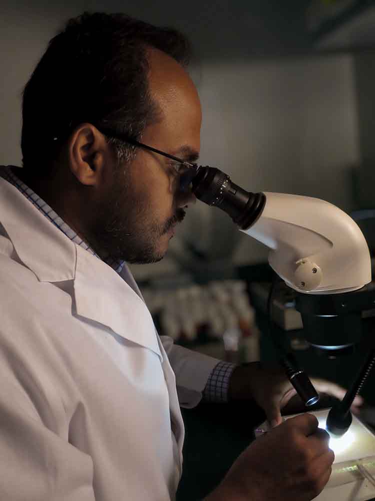 lab image